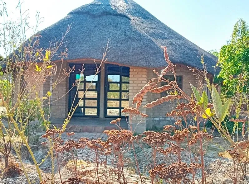 Image 2
