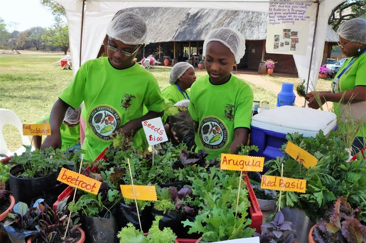 SCOPE Zimbabwe Overview