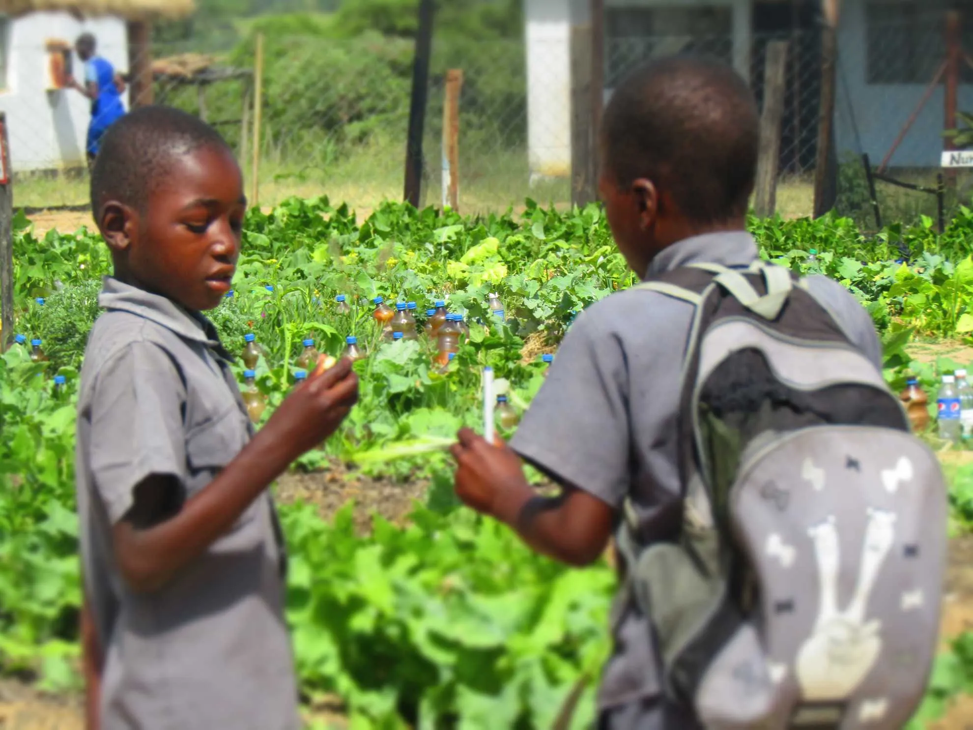 SCOPE Zimbabwe Projects Showcase